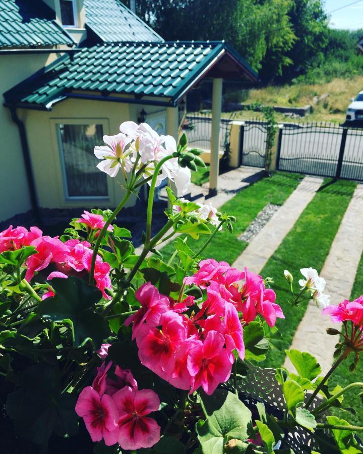Casa Moldovan Ocna Sugatag Bagian luar foto