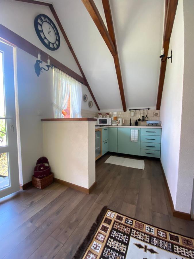 Casa Moldovan Ocna Sugatag Bagian luar foto