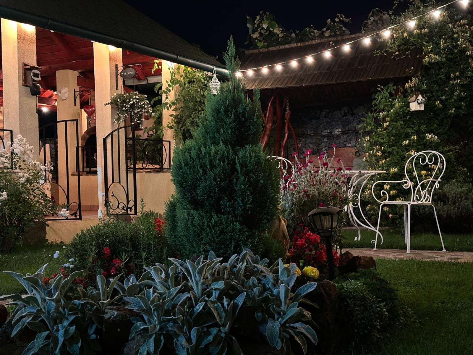 Casa Moldovan Ocna Sugatag Bagian luar foto